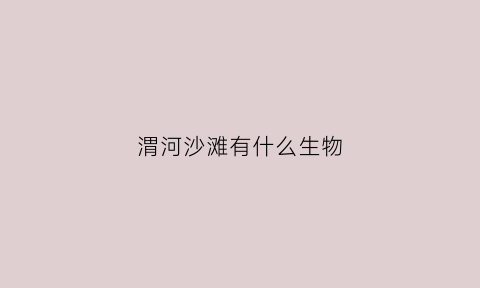 渭河沙滩有什么生物(渭河玩沙子的地方)
