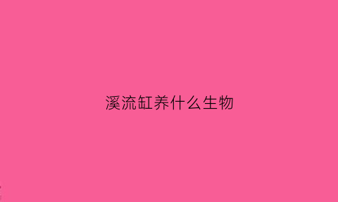溪流缸养什么生物(溪流缸养水)