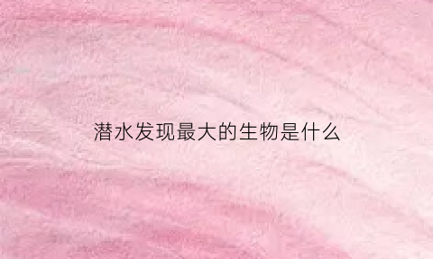 潜水发现最大的生物是什么(潜水的最高记录是什么)