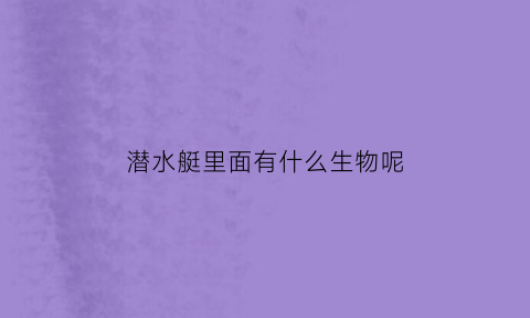 潜水艇里面有什么生物呢(潜水艇存在吗)