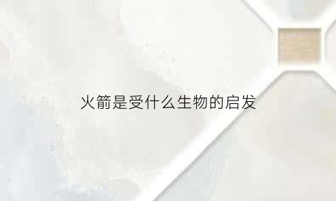 火箭是受什么生物的启发