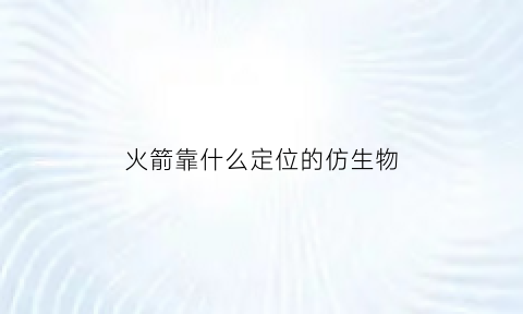 火箭靠什么定位的仿生物(火箭靠什么动力发射)