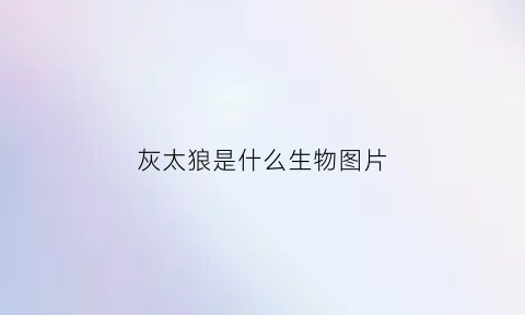 灰太狼是什么生物图片(灰太狼是指谁)