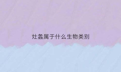 灶螽属于什么生物类别(灶螽的特点)