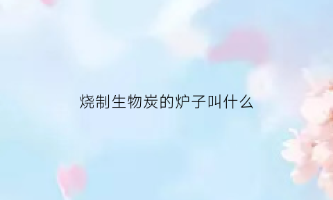 烧制生物炭的炉子叫什么(烧制生物炭的炉子叫什么)