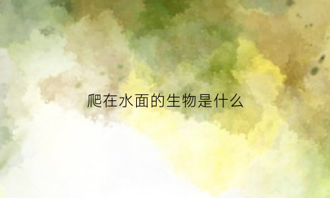 爬在水面的生物是什么(趴在水面上的昆虫)