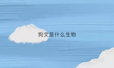 狗文是什么生物(狗文是什么平台)