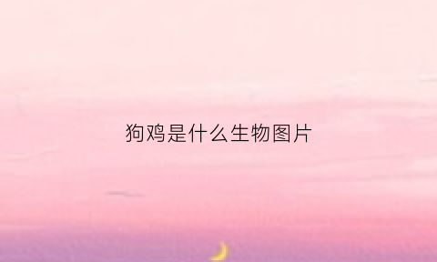 狗鸡是什么生物图片(狗鸡是什么生物图片)