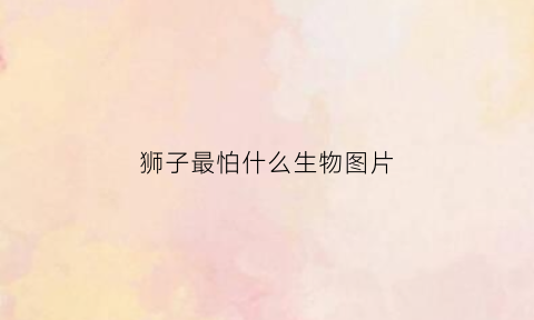 狮子最怕什么生物图片(狮子最怕什么生物图片高清)