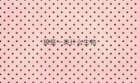 狼是一类什么生物(狼是哪类动物)