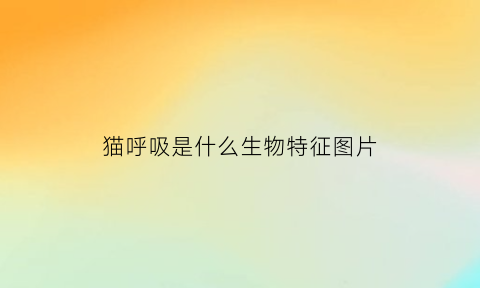 猫呼吸是什么生物特征图片(猫猫的呼吸)