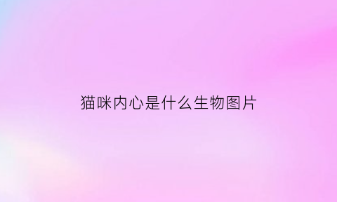 猫咪内心是什么生物图片(猫猫内心os)