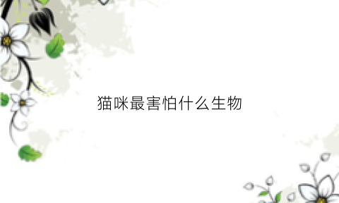 猫咪最害怕什么生物(猫咪最害怕什么生物呢)