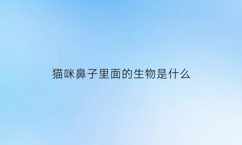 猫咪鼻子里面的生物是什么(猫鼻子内部)