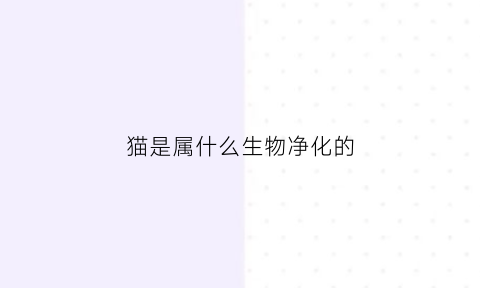 猫是属什么生物净化的(猫是属什么生物净化的动物)
