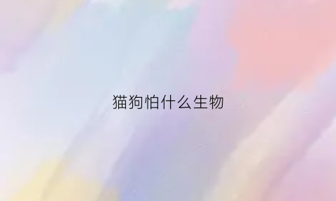 猫狗怕什么生物(猫狗怕什么生物呢)