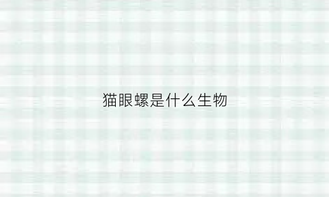 猫眼螺是什么生物(猫眼螺是什么样子百度百科)