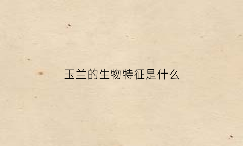 玉兰的生物特征是什么(玉兰的主要特征)