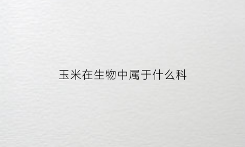 玉米在生物中属于什么科(玉米在生物分类上属于什么)