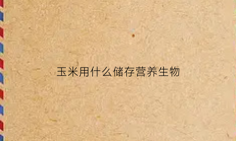 玉米用什么储存营养生物(玉米用什么装可以放很久)