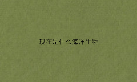 现在是什么海洋生物(是什么海洋生物最傻)