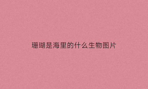 珊瑚是海里的什么生物图片(珊瑚是海底动物还是海底植物)