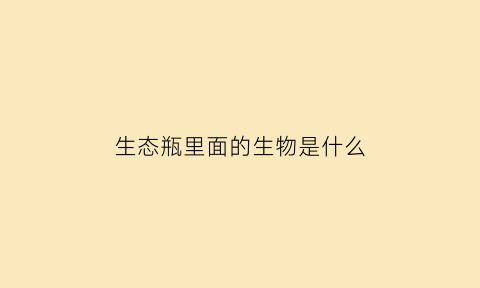 生态瓶里面的生物是什么(生态瓶的瓶子)