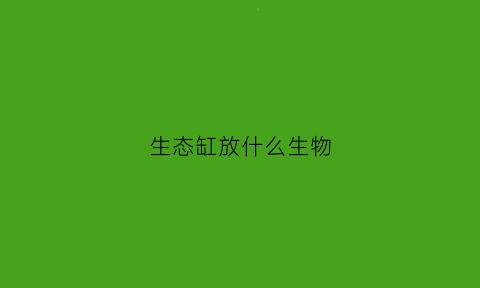 生态缸放什么生物(生态缸养什么动物)