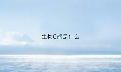 生物C端是什么