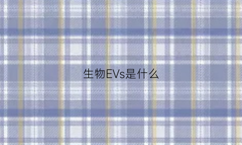 生物EVs是什么(生物es是什么意思)