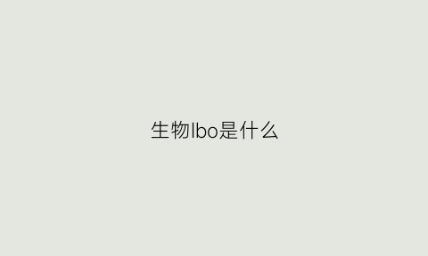 生物Ibo是什么