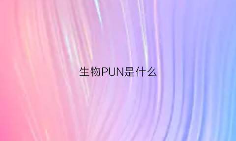 生物PUN是什么