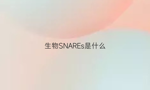 生物SNAREs是什么