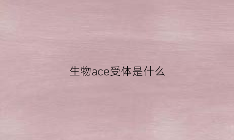 生物ace受体是什么