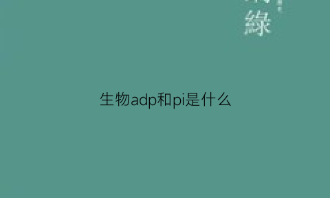 生物adp和pi是什么(生物adp是什么意思)