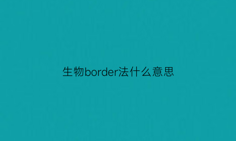 生物border法什么意思(生物bp)