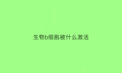 生物b细胞被什么激活(高中生物b细胞的功能)