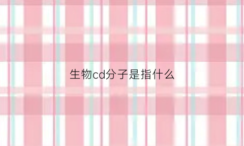 生物cd分子是指什么