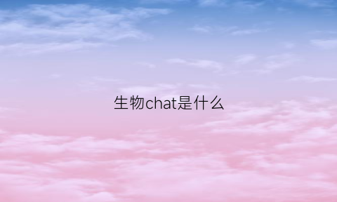 生物chat是什么
