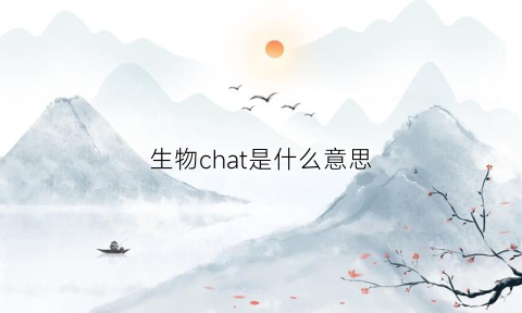 生物chat是什么意思