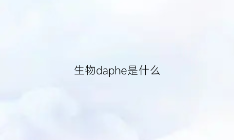 生物daphe是什么