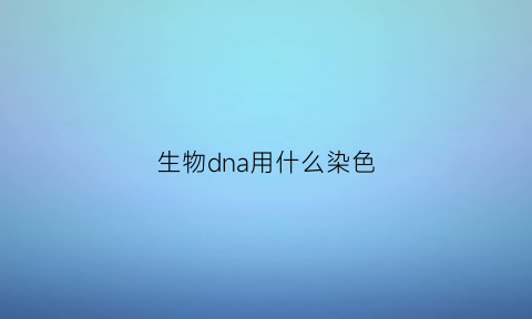 生物dna用什么染色