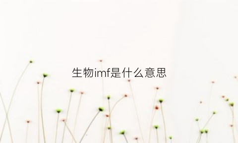 生物imf是什么意思(生物imf是什么意思啊)