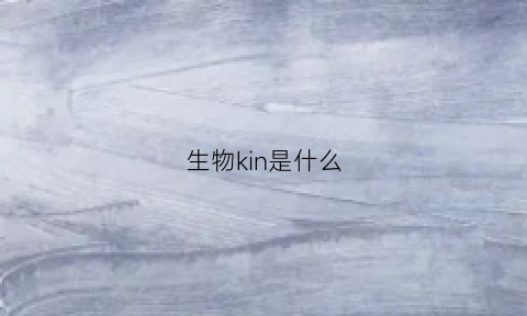 生物kin是什么(生物k是什么意思)