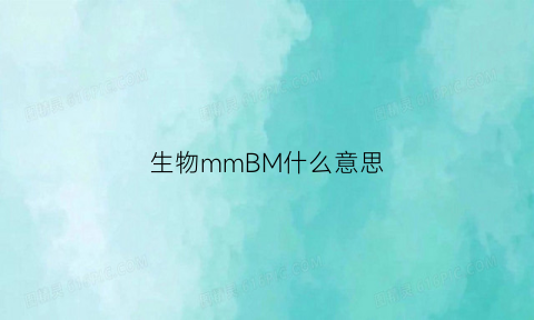 生物mmBM什么意思(生物mmp)