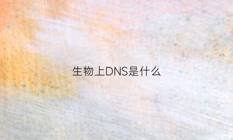 生物上DNS是什么(生物化学中dns是什么)