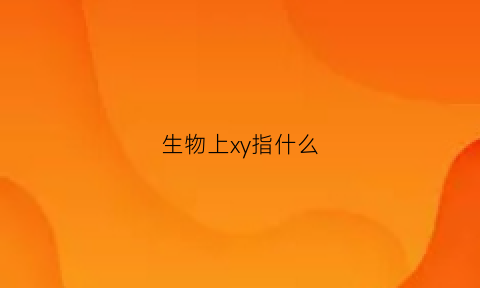 生物上xy指什么