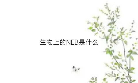 生物上的NEB是什么(生物上的neb是什么意思)