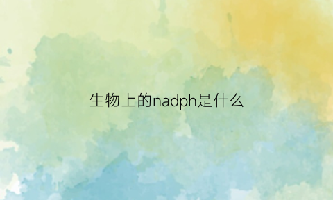 生物上的nadph是什么