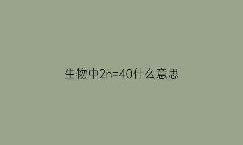 生物中2n=40什么意思